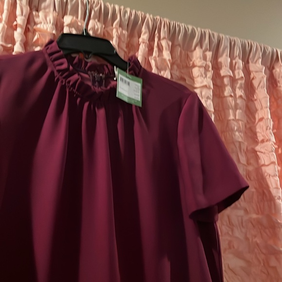 NWT Kate Spade Ruffle Shift Dress Medium in color “Ma Cherie” “My love” - Picture 6 of 12